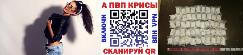 Alfa_PVP СК КРИС Завитинск