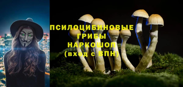 прущий лед Вязники