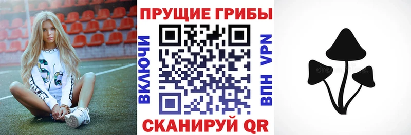 блэк спрут ТОР  сайты даркнета наркотические препараты  Псилоцибиновые грибы мухоморы  Завитинск 